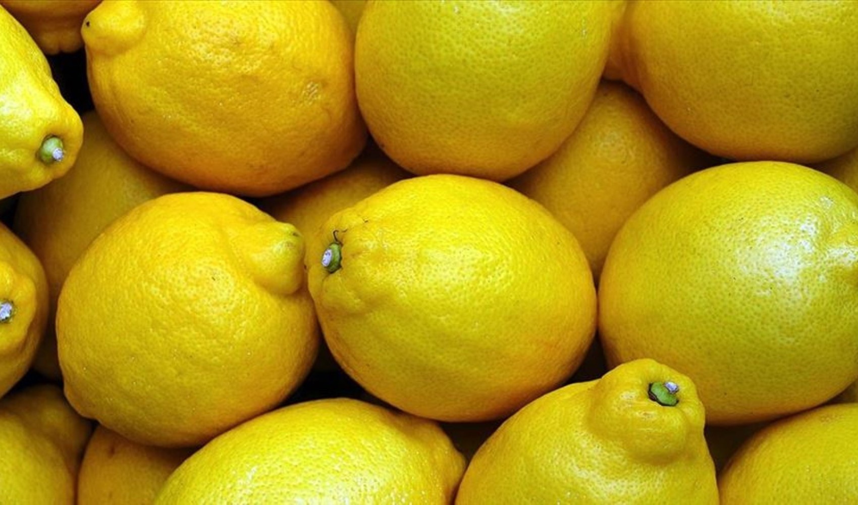 Limonlarda pestisit alarmı! Zehir yiyoruz Limonlarda pestisit alarmı! Zehir yiyoruz