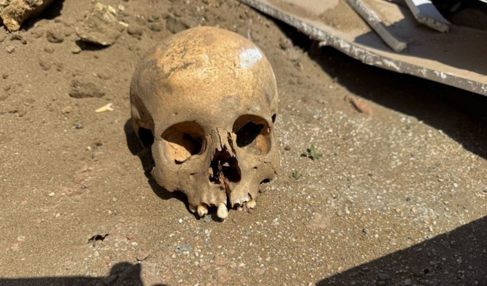 İnşaat kazısında 'kafatası' bulundu: Ekipler harekete geçti!