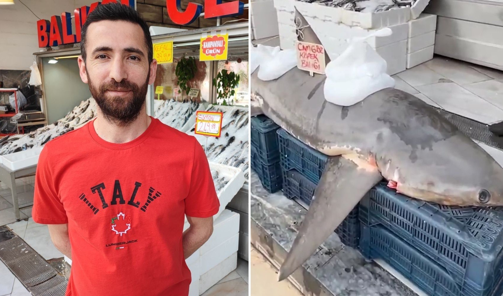 Köpek balığı yakaladı, kanser hastalarına dağıttı