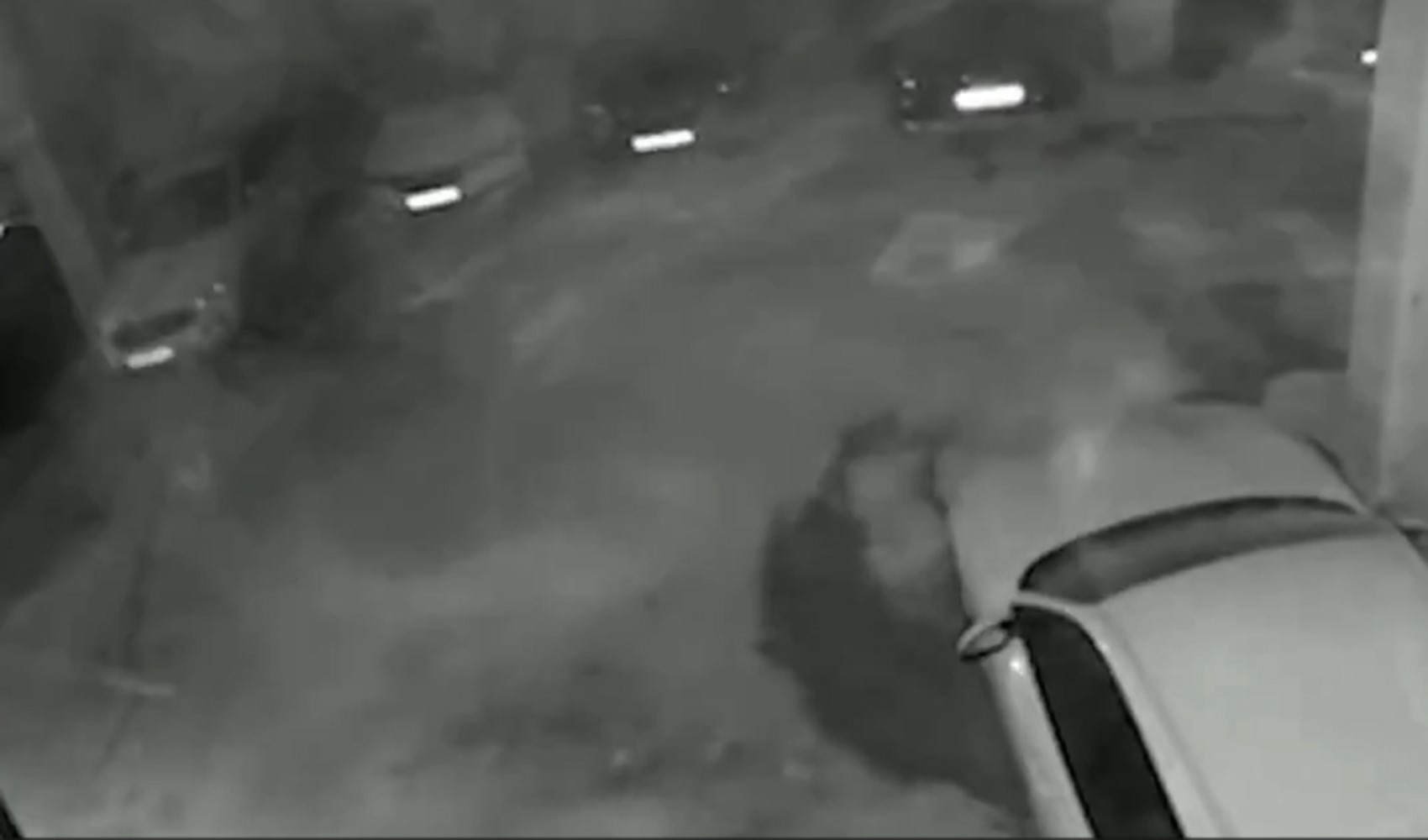 Kartalkaya'daki otel çalışanları yangın çıkar çıkmaz otoparka koşmuş: Arabalar insan canından kıymetli! Kartalkaya'daki otel çalışanları yangın çıkar çıkmaz otoparka koşmuş: Arabalar insan canından kıymetli!