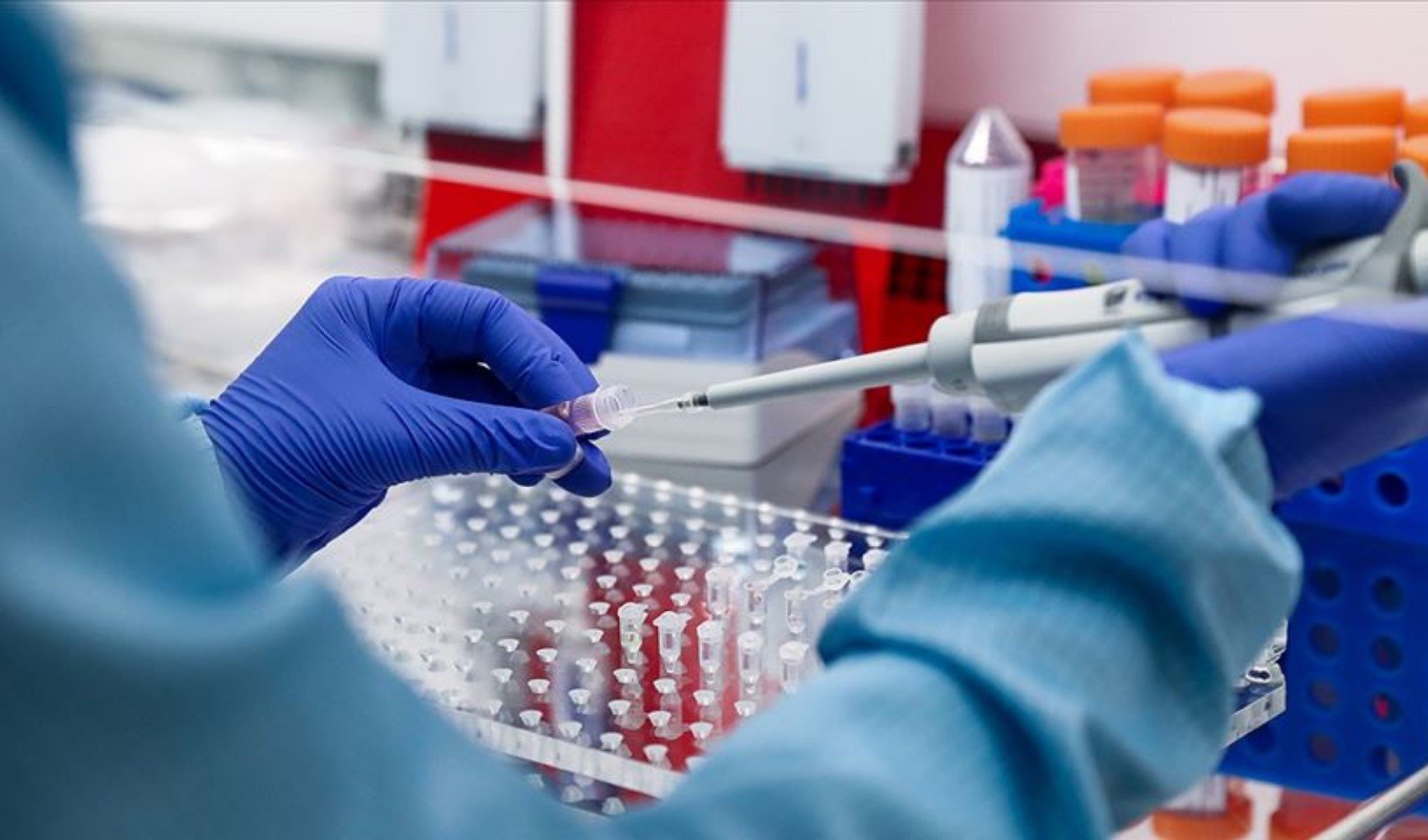 DNA testi yaptırdı: Kocasının kardeşi olduğunu öğrendi!