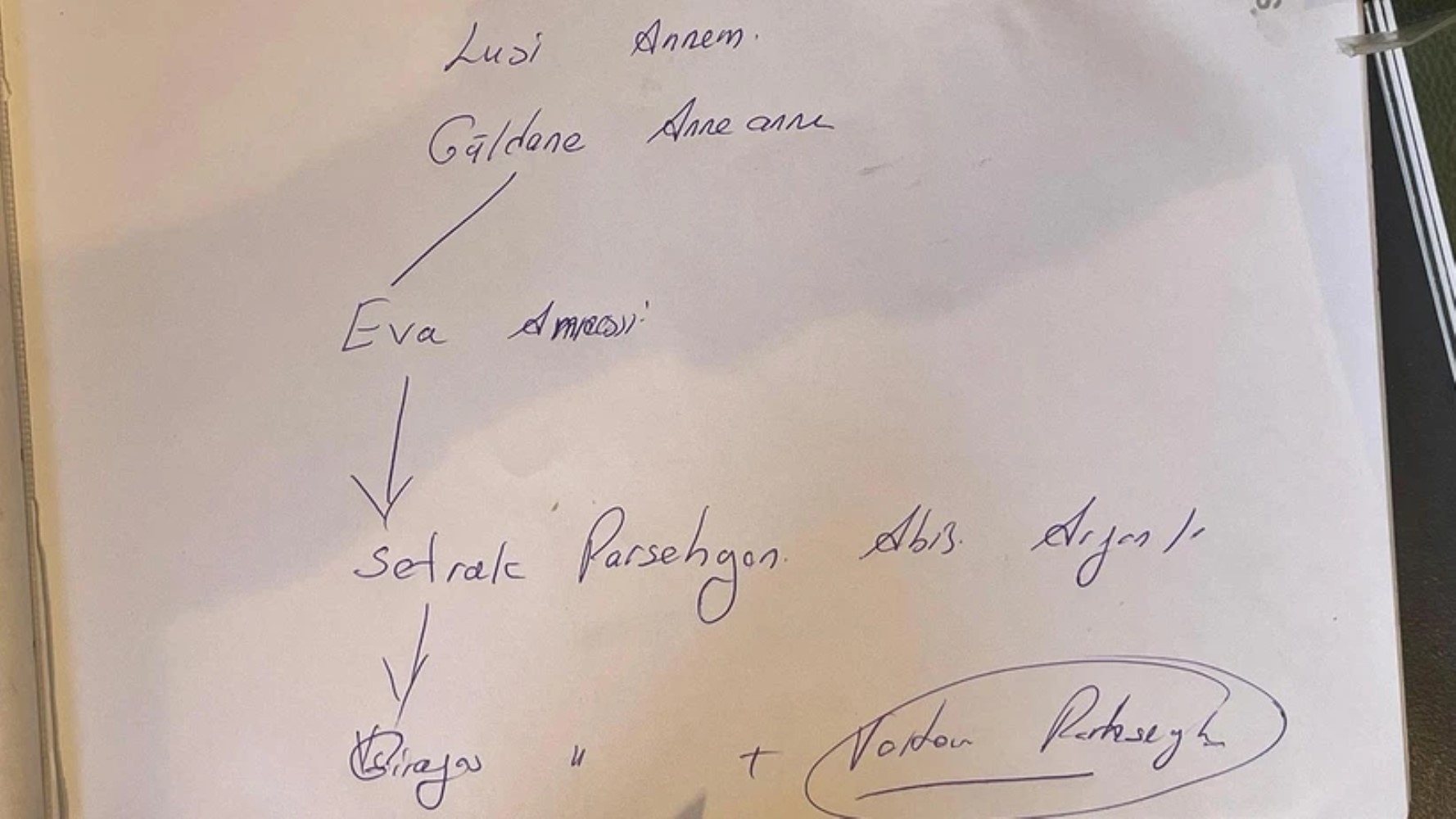 Yeni seçilen Papa Kayserili mi? 'Papa 14. Leo akrabam olabilir'