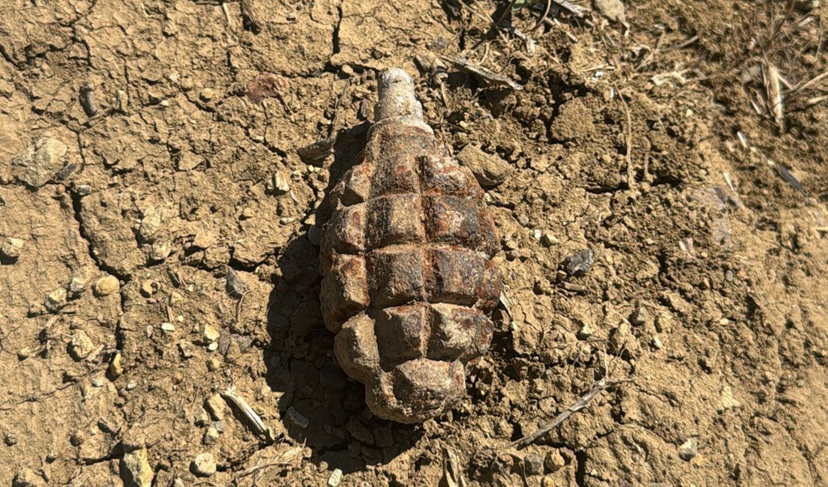 Soğan tarlasında 104 yıllık patlamamış el bombası bulundu Soğan tarlasında 104 yıllık patlamamış el bombası bulundu
