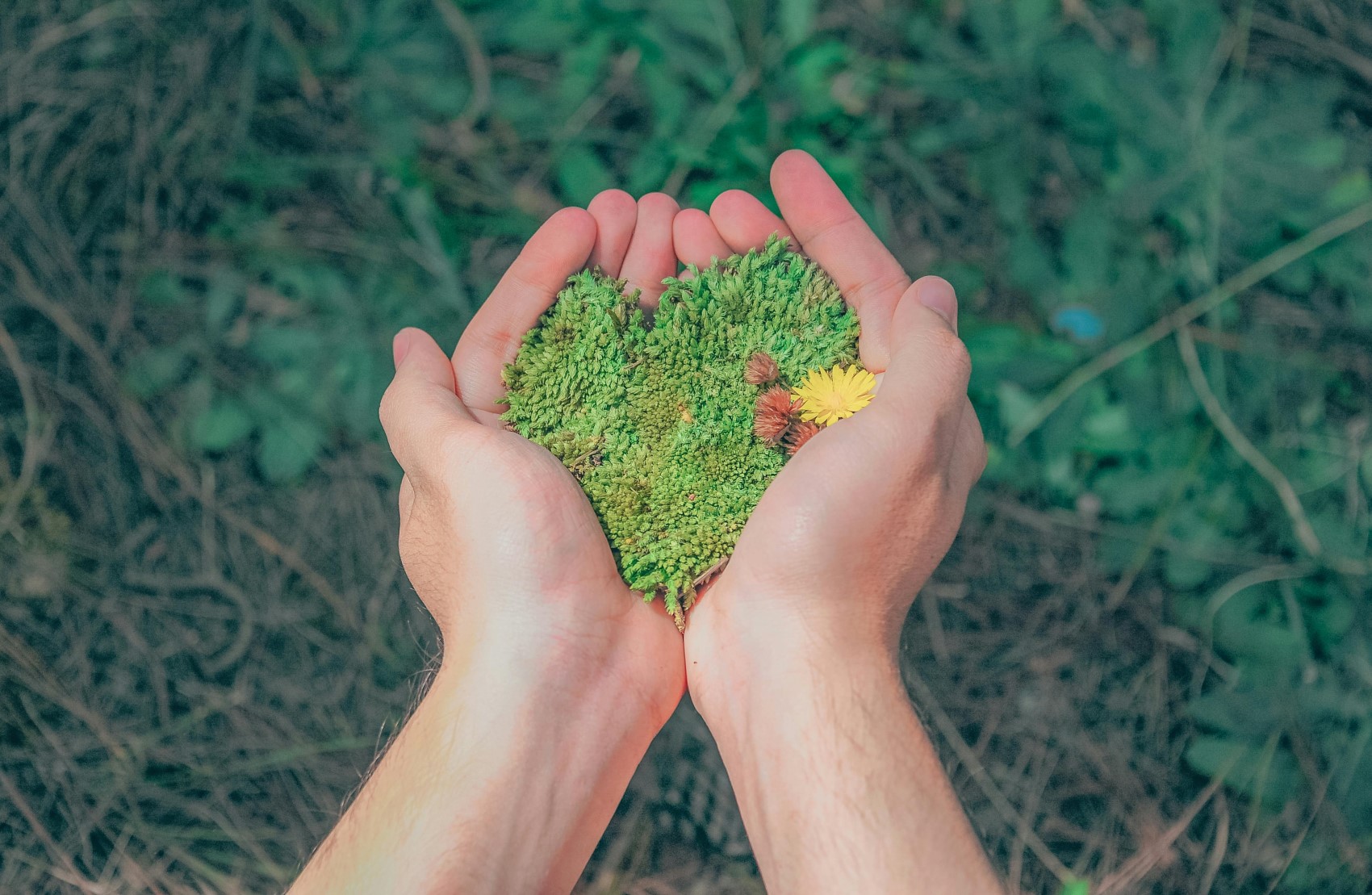Temizliğin başkenti neresi? Dünyanın en temiz şehirleri