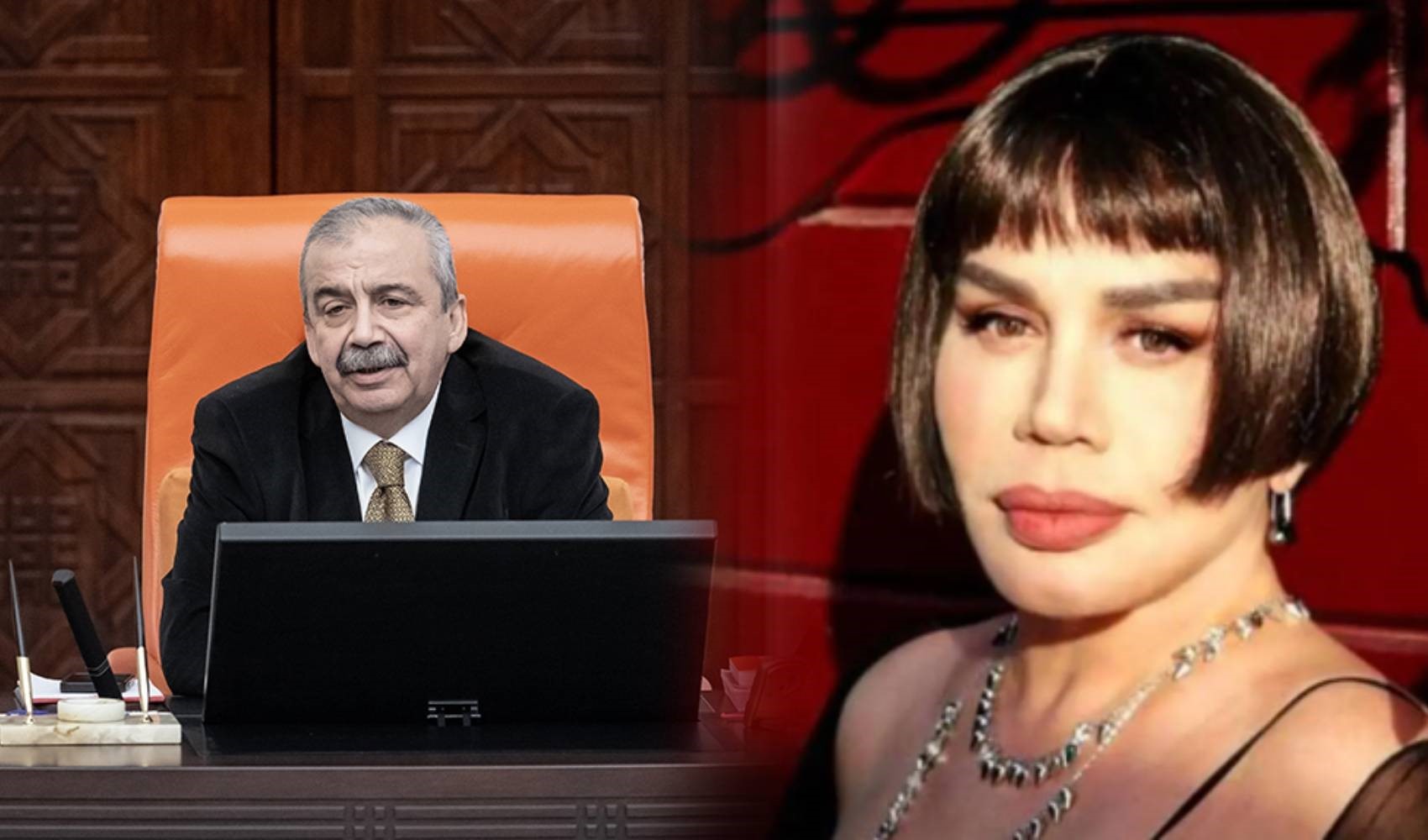 Sezen Aksu'dan vefat eden Sırrı Süreyya Önder'e duygusal veda