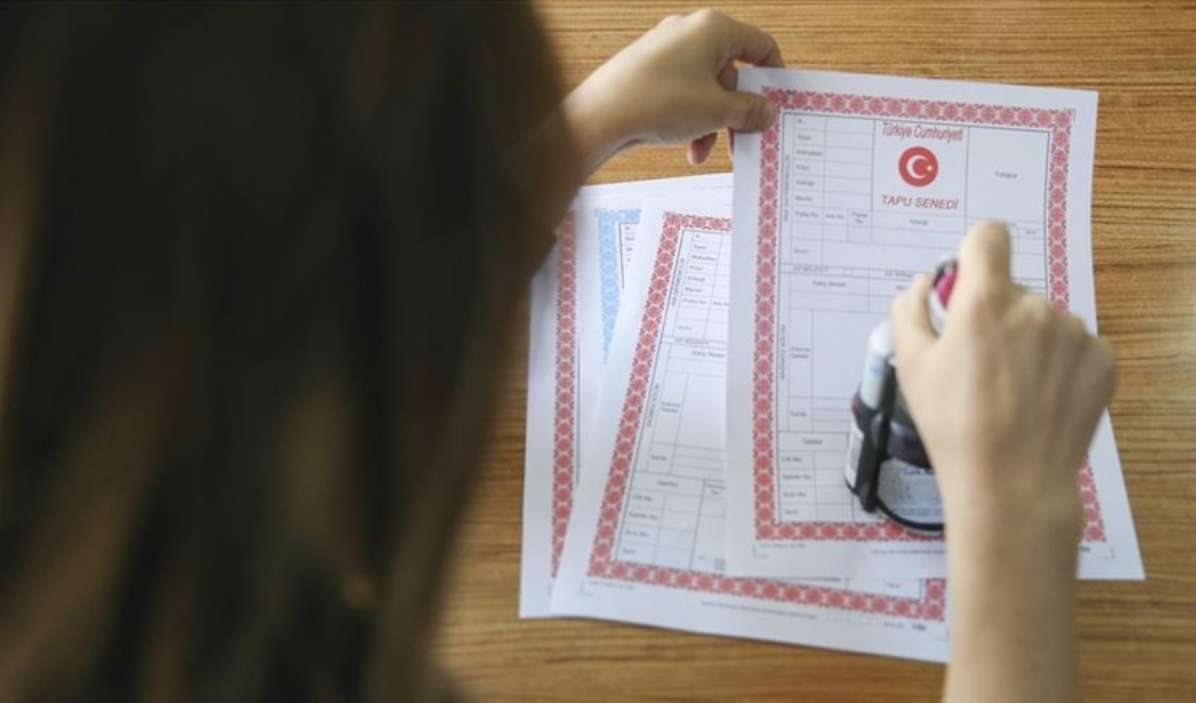 5 milyon kişiye müjde: 2B araziler için tapu düzenlemesi geliyor