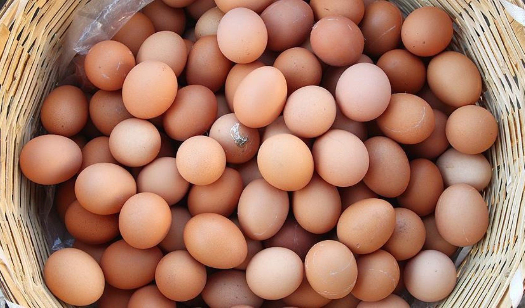 İhracat azaldı, fiyatlar düştü: Yumurtada yüzde 50 indirim