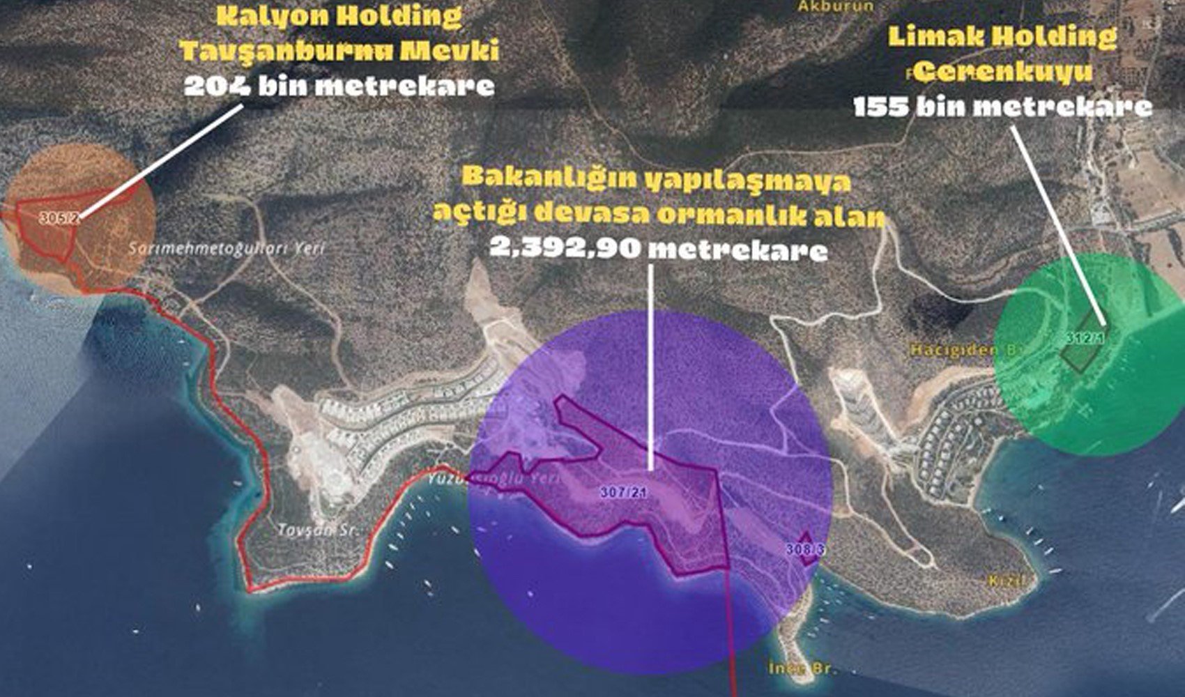 Kalyon ve Limak, Bodrum'daki ormanlık alanı betona gömecekler: Bakanlık yapılaşmaya açtı