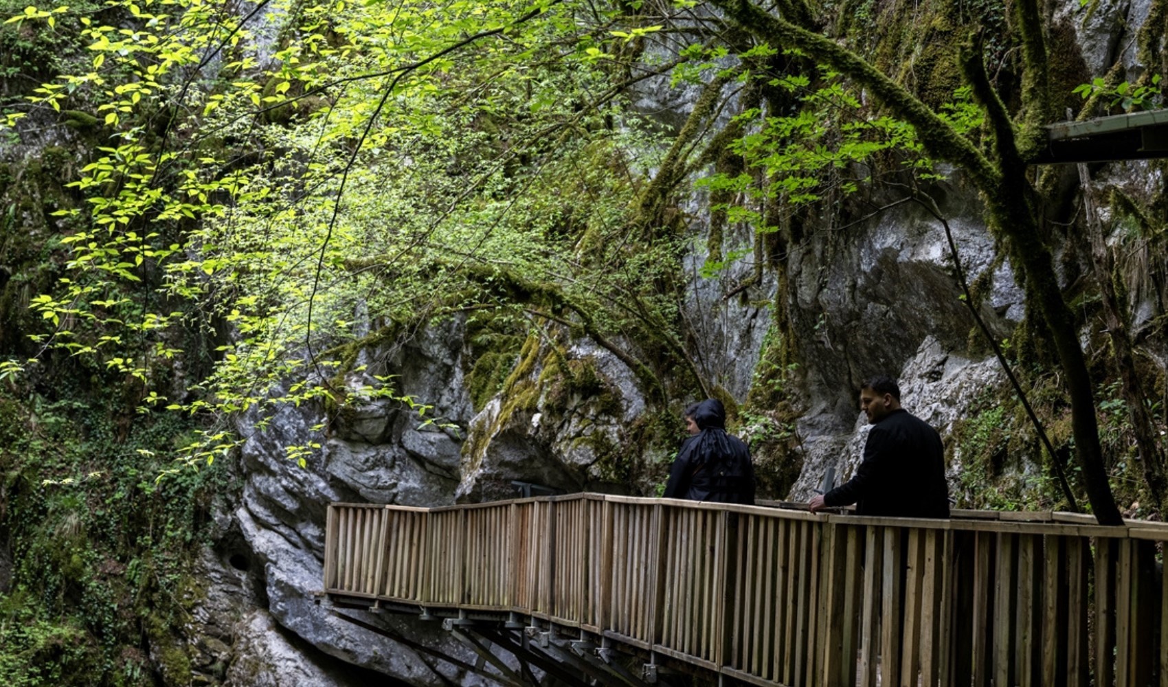 Kuzeyin saklı cenneti: Horma Kanyonu
