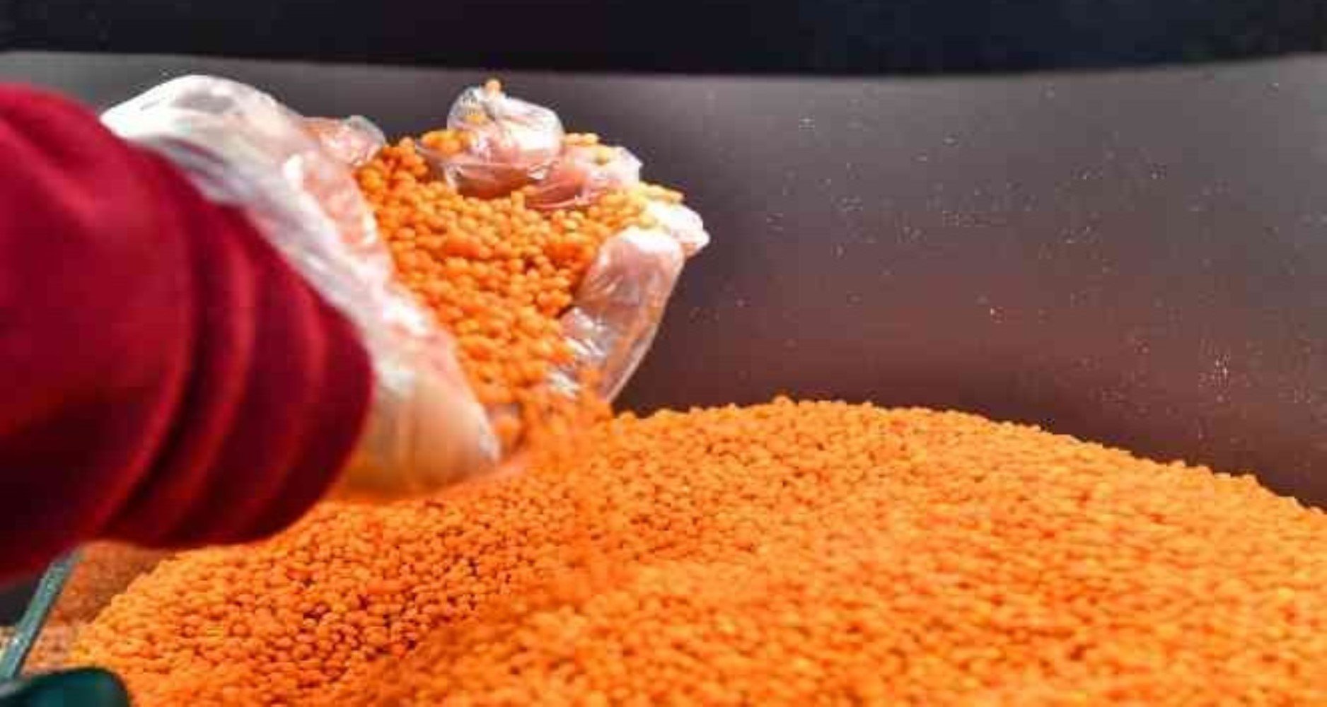 BİM'de satılan mercimek paketinden kuş tüyü çıktı