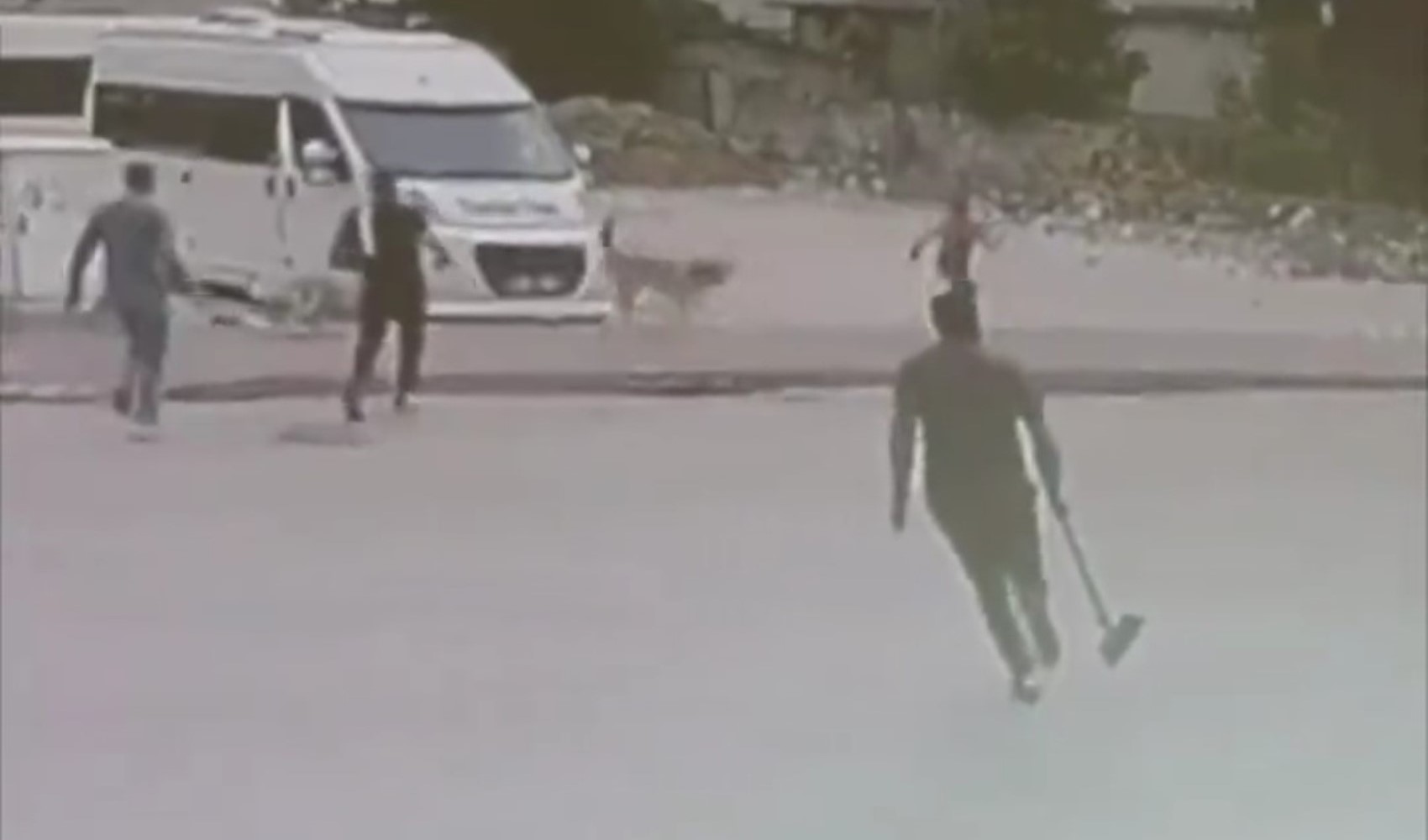Ceyhan'da sokak köpeklerinin çocuğa saldırdığı anlar güvenlik kamerasında Ceyhan'da sokak köpeklerinin çocuğa saldırdığı anlar güvenlik kamerasında