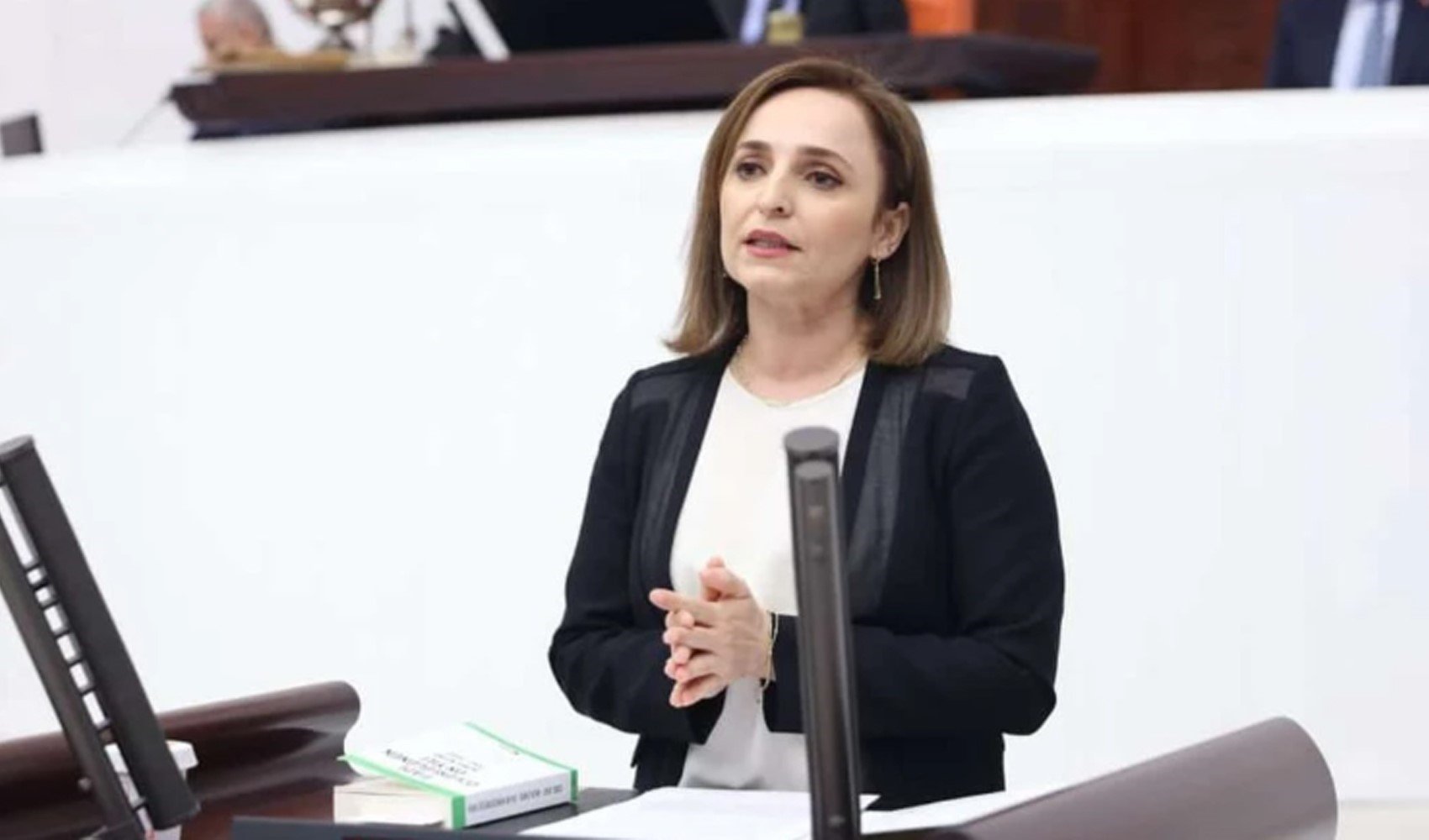 DEM Partili Ayşegül Doğan, AKP'li Ömer Çelik'in sözlerini hatırlattı: Olumlu gelişmeyi çağıracaktır