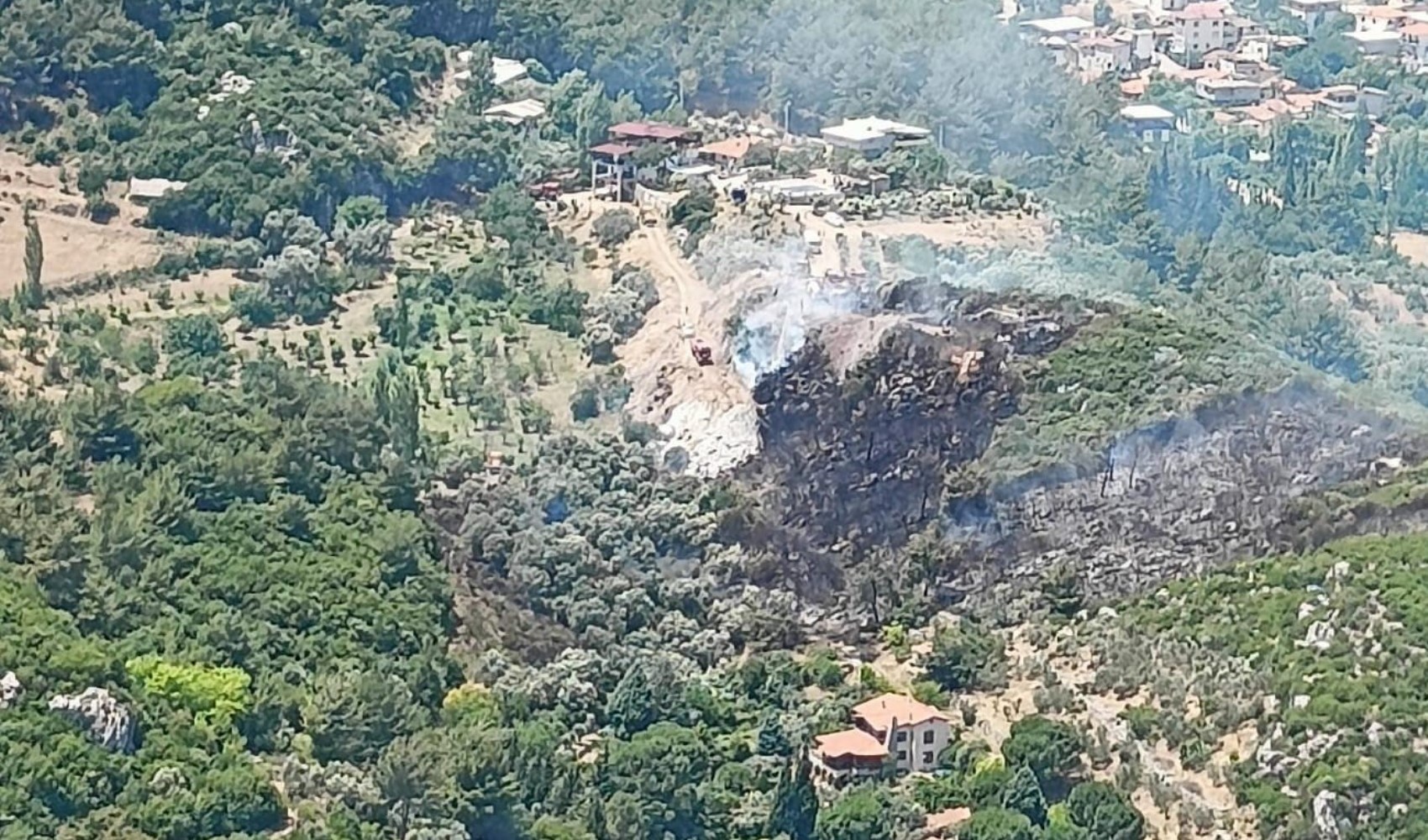 İzmir'deki orman yangınına havadan ve karadan müdahale sürüyor