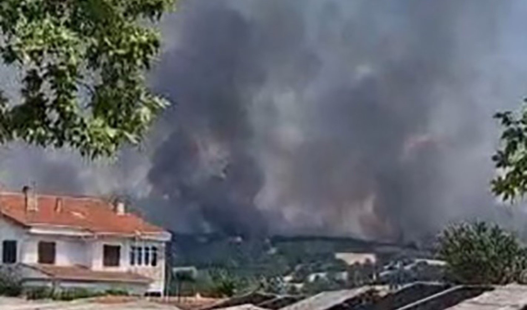 Edirne’de orman yangını: Havadan ve karadan müdahale ediliyor