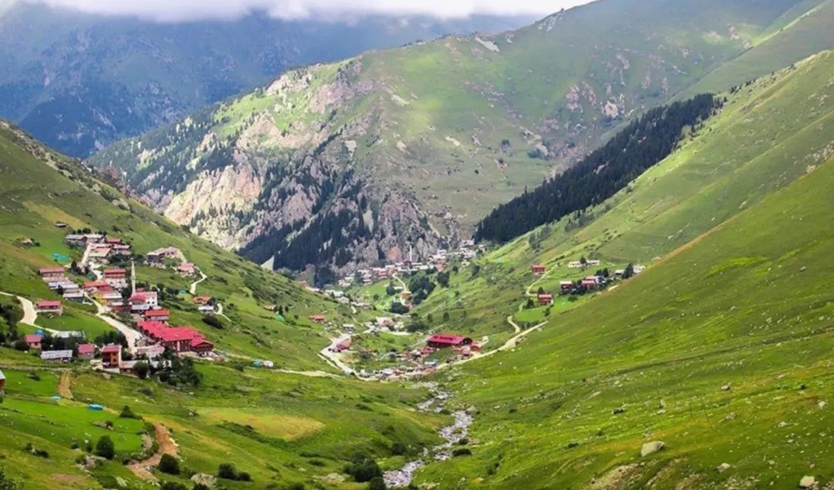 Trabzon'daki yaylada 75 kişi kayboldu Trabzon'daki yaylada 75 kişi kayboldu