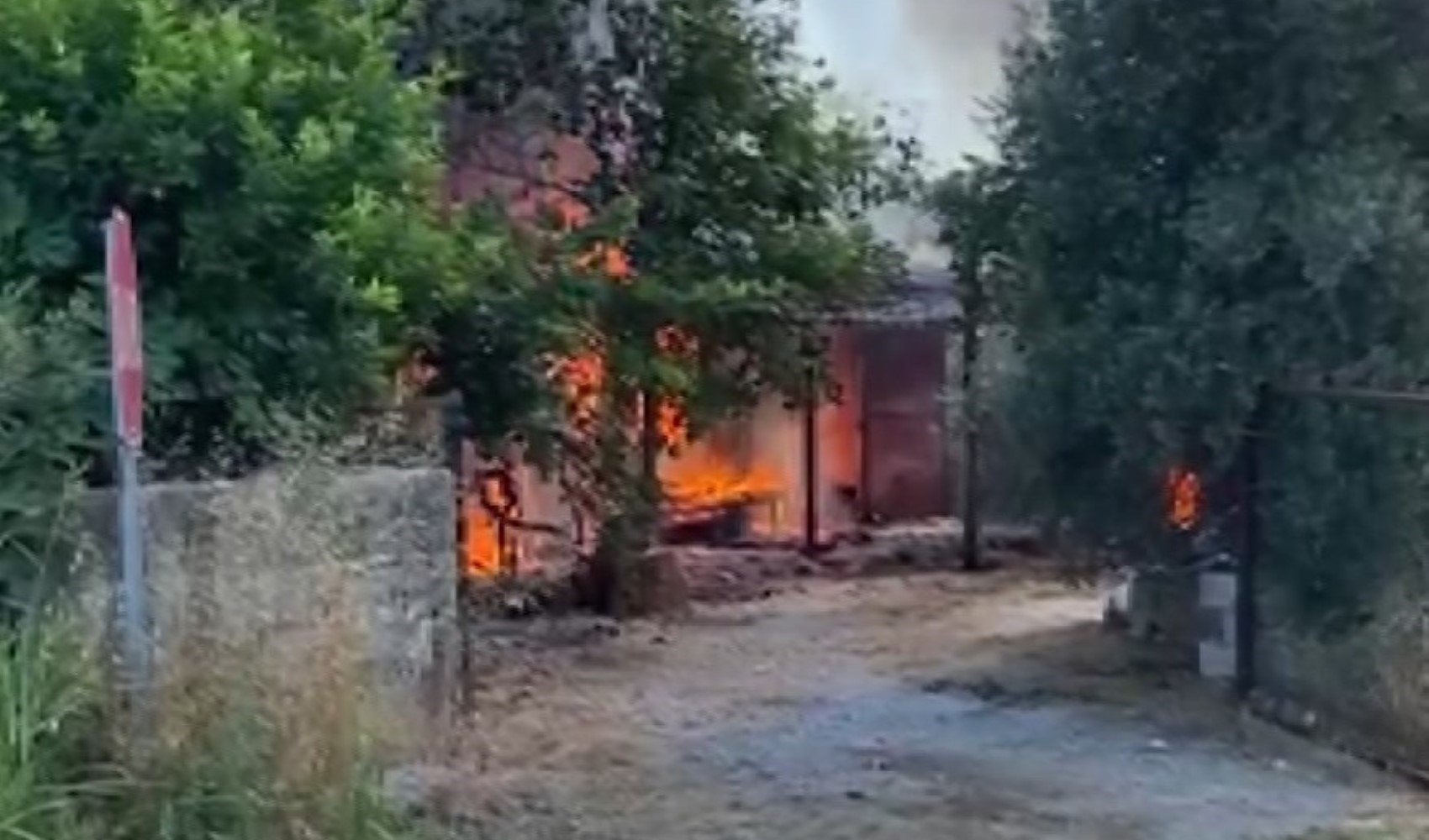 Antalya'da yangın paniği! Ev ve traktör kullanılamaz hale geldi Antalya'da yangın paniği! Ev ve traktör kullanılamaz hale geldi