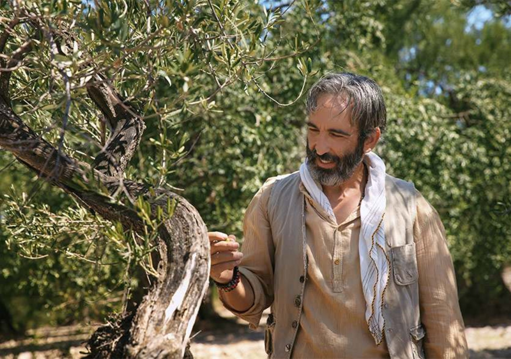 İlayda Alişan 'Zeytin Ağacı' ikinci sezonda kadroya katıldı! Hangi rolü üstlenecek?