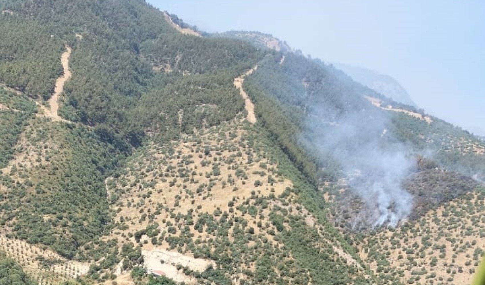 Manisa'da orman yangınına hızlı müdahale