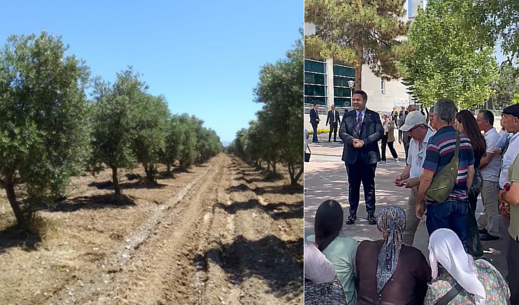 Meclis'te zeytinlik gerginliği! CHP'li Akdoğan'dan üreticilere destek Meclis'te zeytinlik gerginliği! CHP'li Akdoğan'dan üreticilere destek