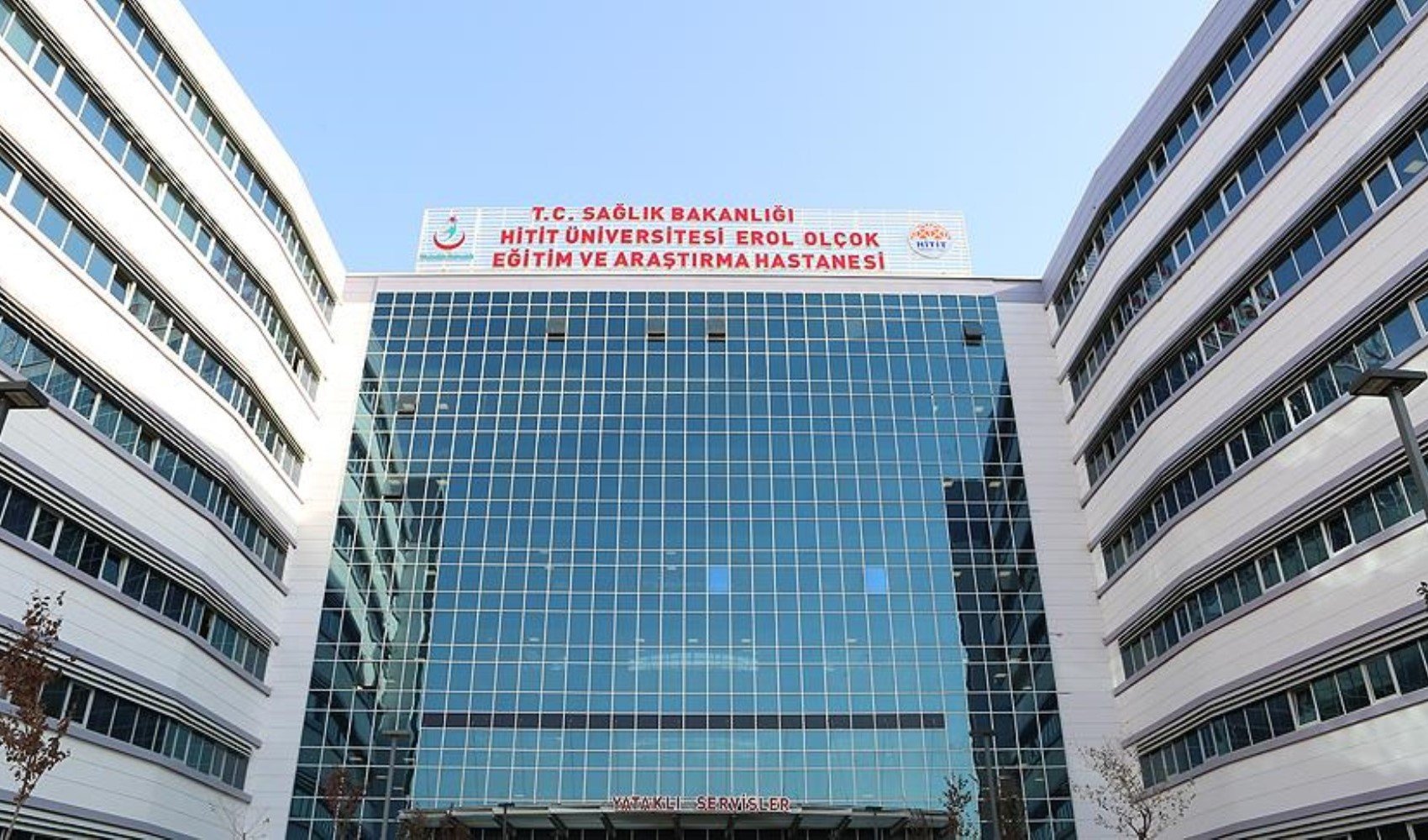 Tahtakuruları hastaneyi bastı: 3 servis kapatıldı
