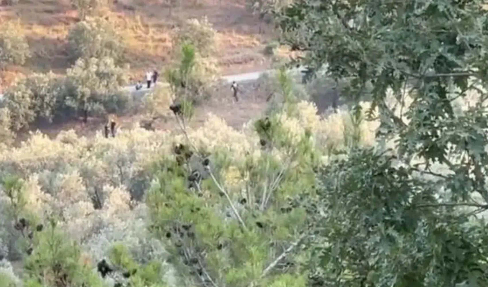 Son Dakika... İmamoğlu’nun babasının arazisinde yeniden arama: Dedektörle tarama yapıldı