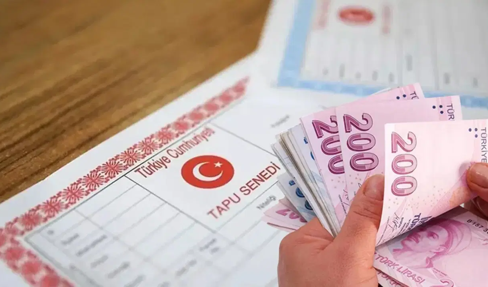 Gayrimenkul alımında tapunun türü ve rengine dikkat