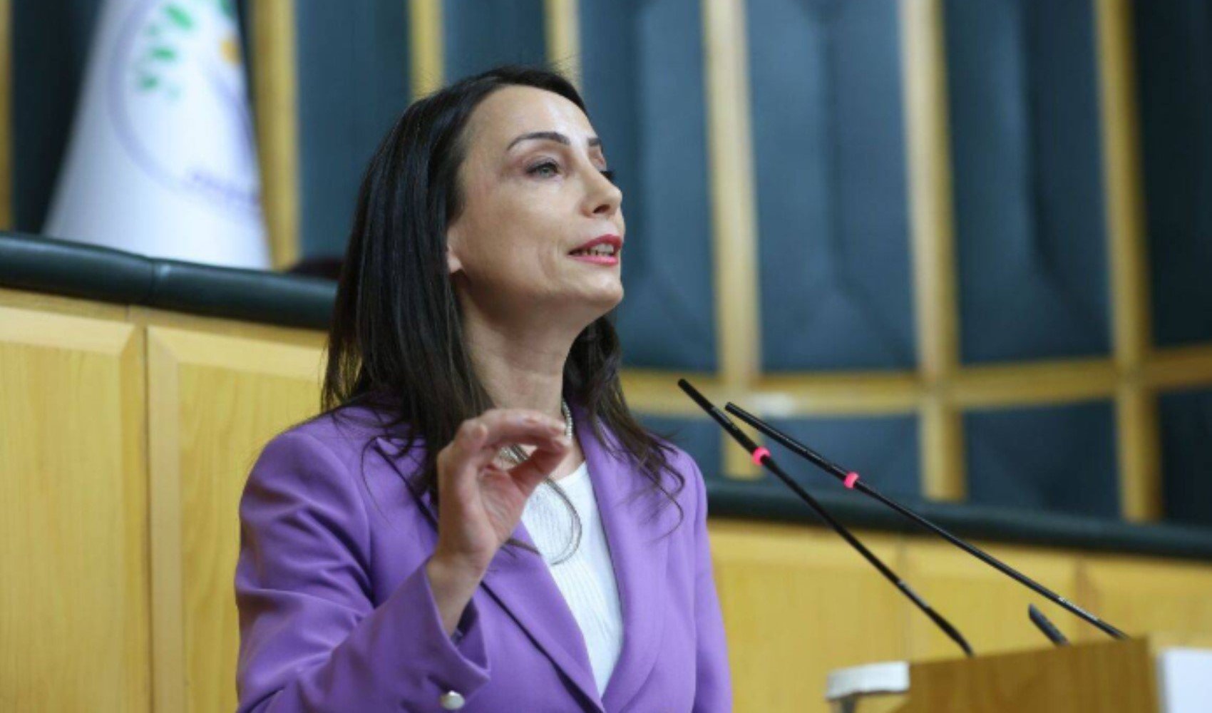 DEM Parti'den Bahçeli'nin 'barış' uyarısına destek! 'Beklemeyin, yol alın'