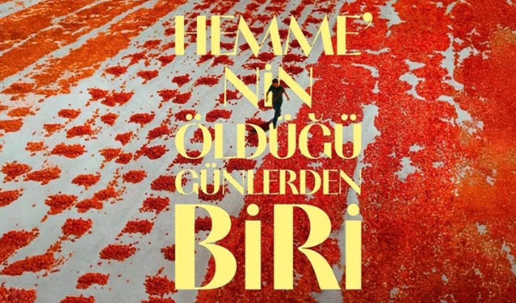 Türkiye'nin Oscar adayı filmi açıklandı