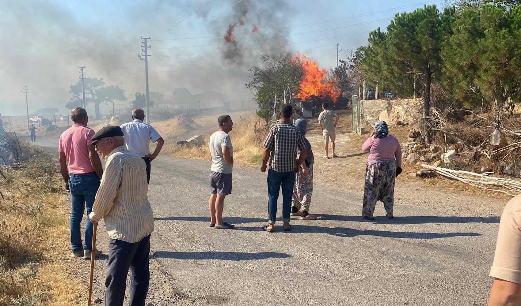 Çanakkale'deki orman yangını Naldöken köyüne sıçradı