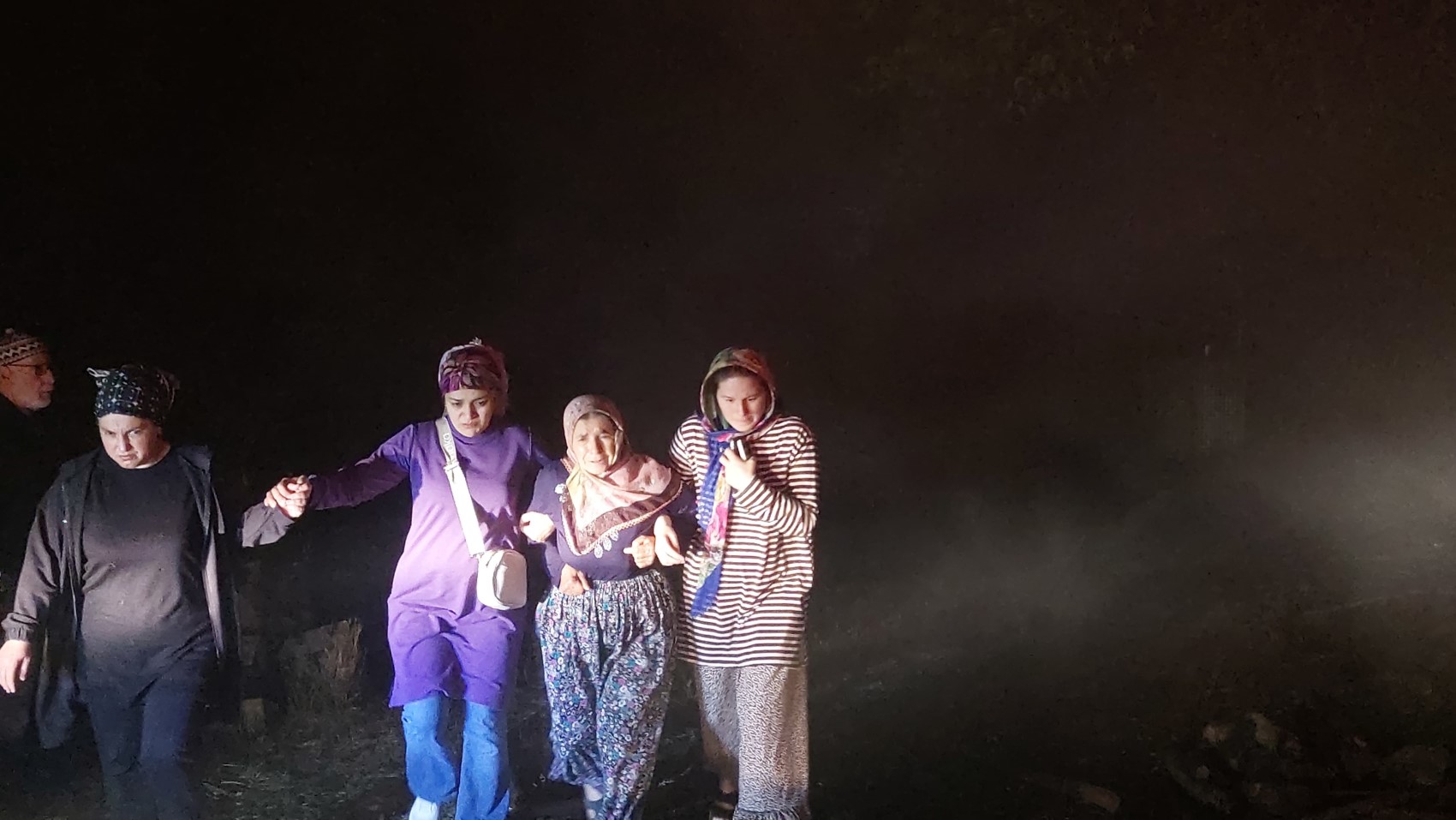 Bolu'da korkunç yangın: Evler yandı, ahırlardaki hayvanlar kurtarılamadı
