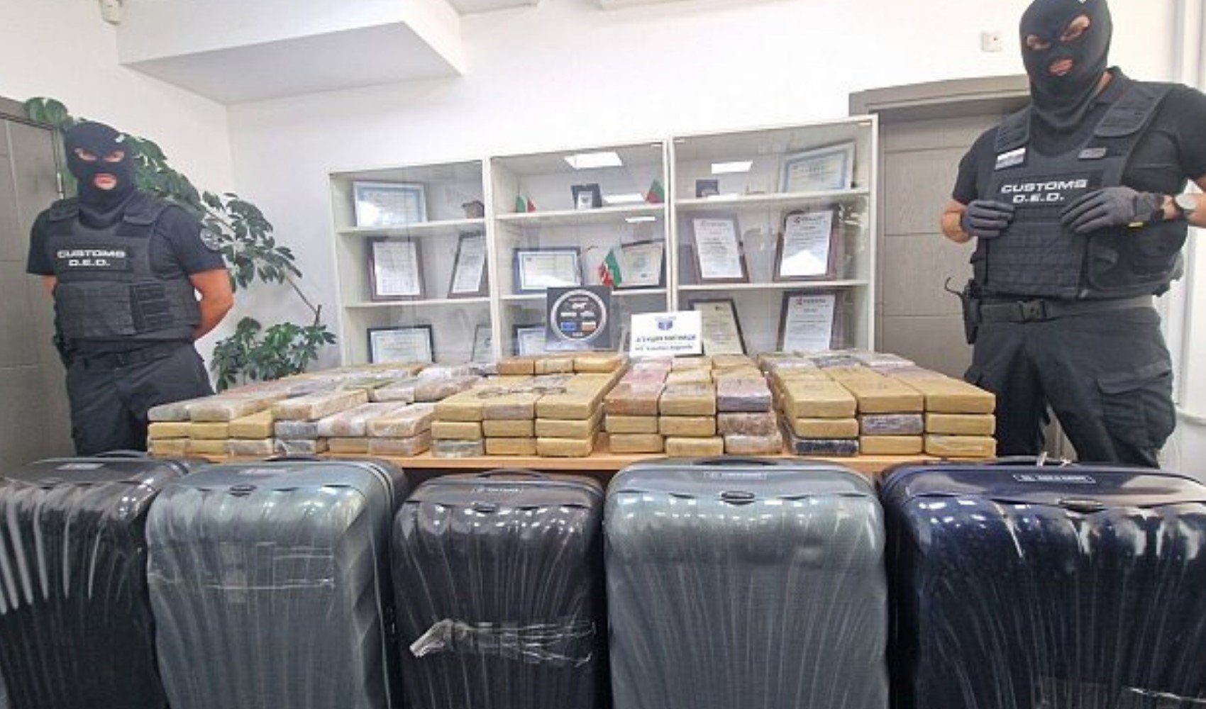 Diplomatik plakalı araçta kokain: Bulgaristan-Türkiye sınırında ele geçirildi