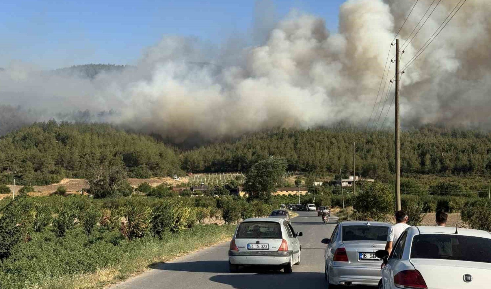 Sakarya Valiliği'nden orman yangınıyla ilgili açıklama