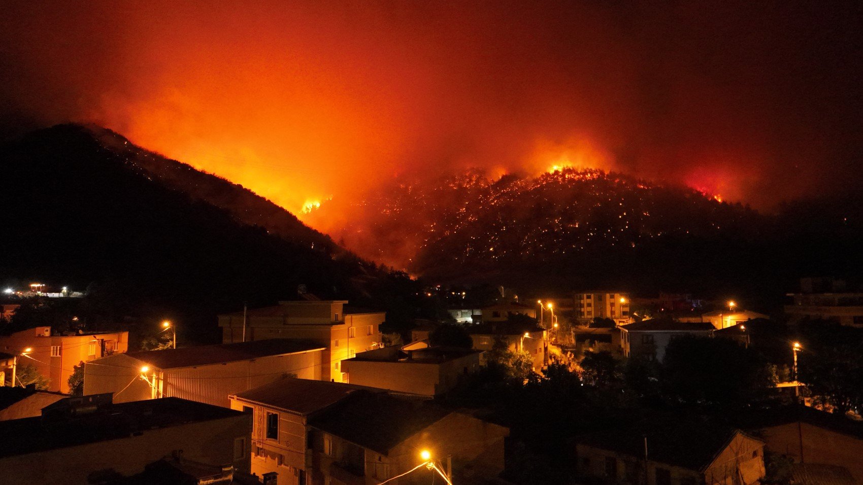 Bursa'da orman yangını: Felaketin boyutu gün ağarınca ortaya çıktı!