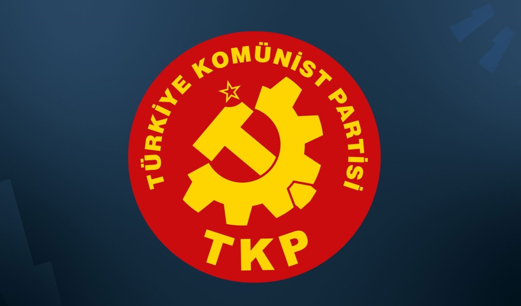 TKP'den Bursa için dayanışma çağrısı: Yangından etkilenen yurttaşlarımıza evlerimiz açıktır