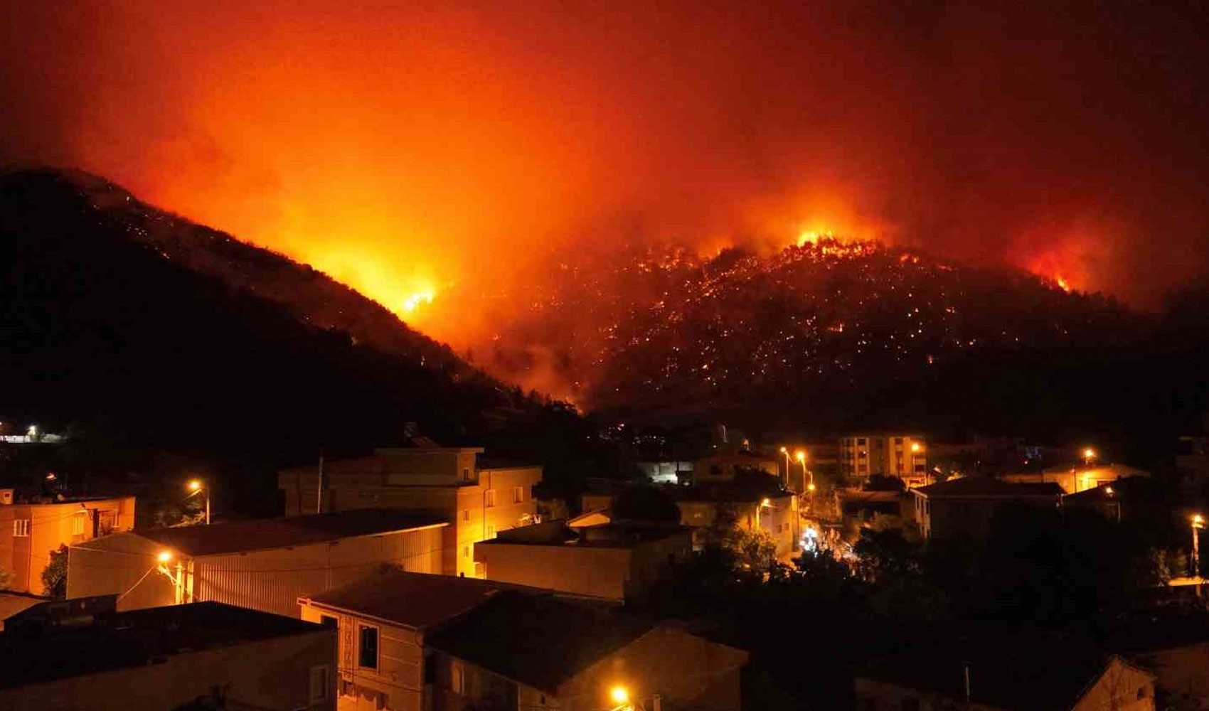 Son Dakika... Bursa'daki orman yangınlarında 1 şehit! Kalp krizi geçiren görevli kurtarılamadı