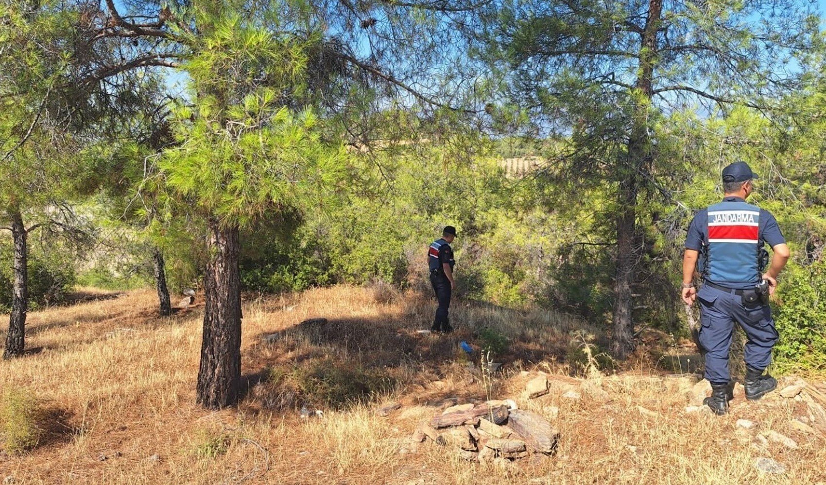 Ormanlara giren ve ateş yakanlara ceza yağdı