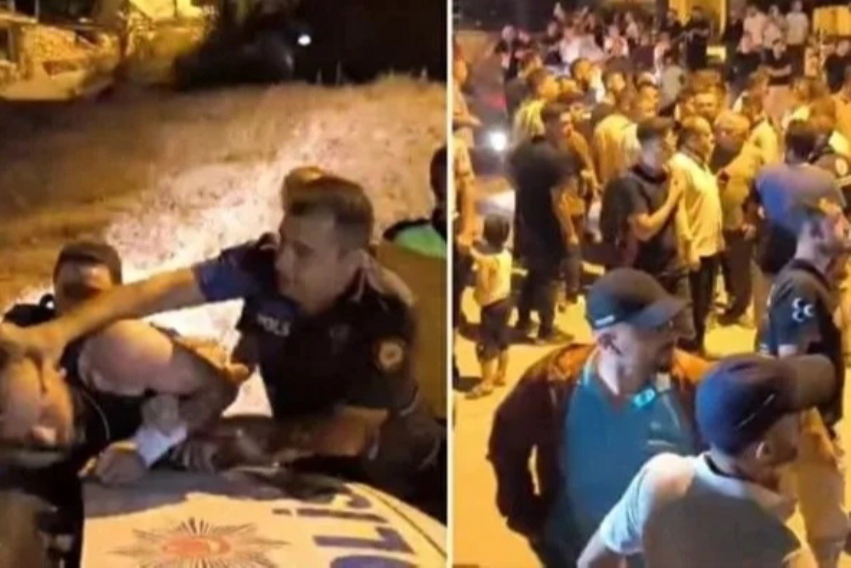 Emniyetteki ifadesi ortaya çıktı: Bursa'da ormanı ateşe veren kundakçı beraatini istedi!