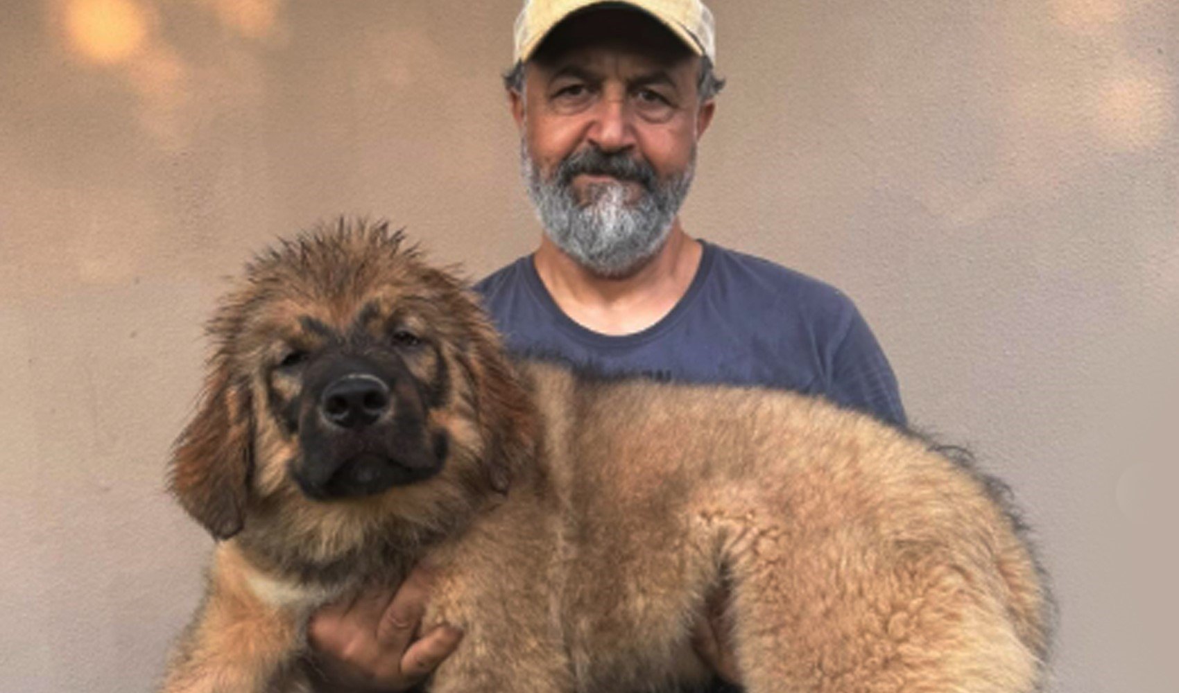 Mehmet Özgür'den 'sahiplendirme şartlarıyla ilgili bilgi'