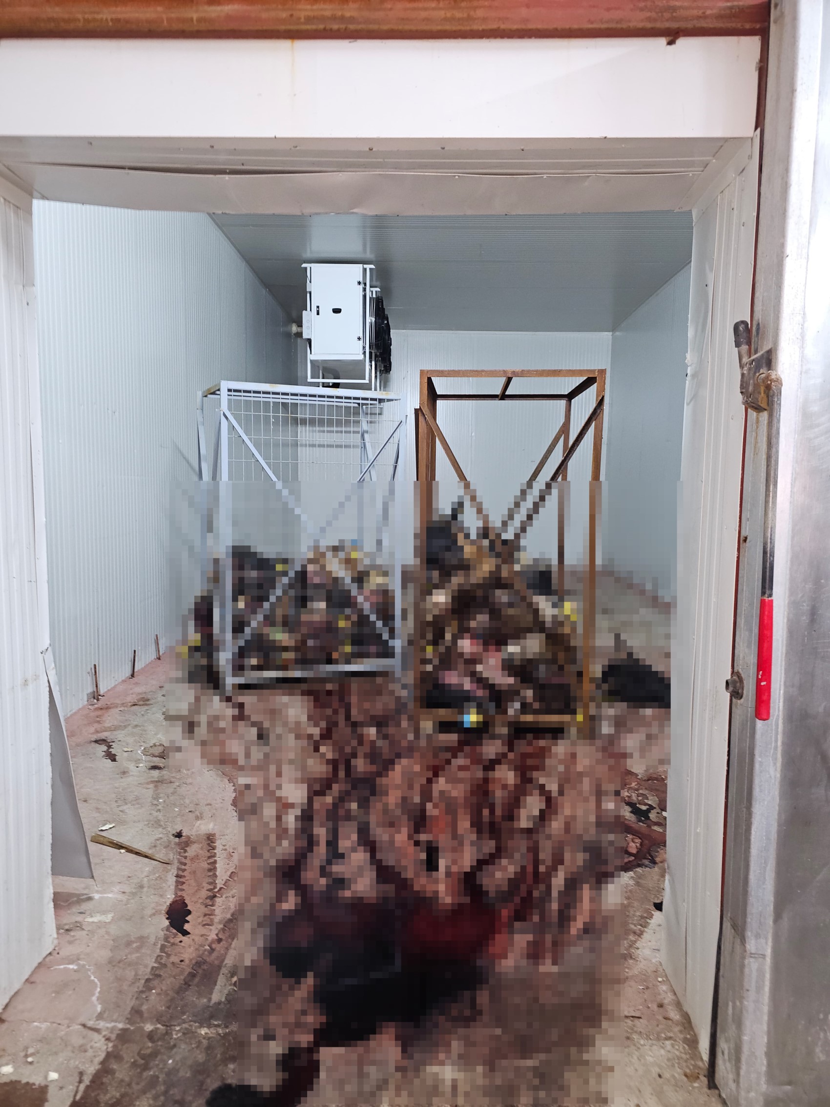 Sağlıksız şartlarda istiflenmiş çok sayıda hayvan kafası bulundu
