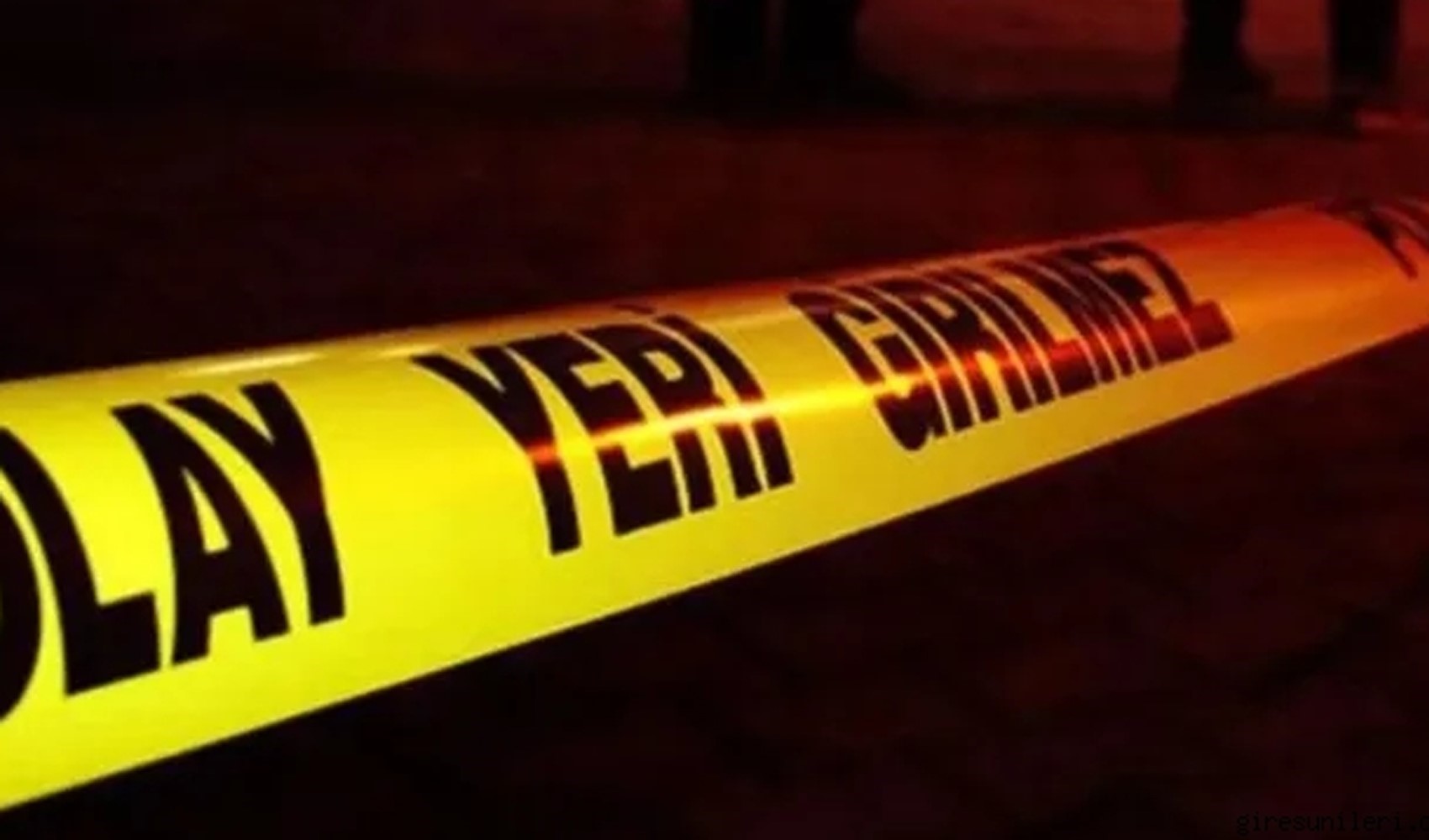Cinnet getiren anne bir bebeğini öldürdü, diğerini ağır yaraladı, ardından intihar etti