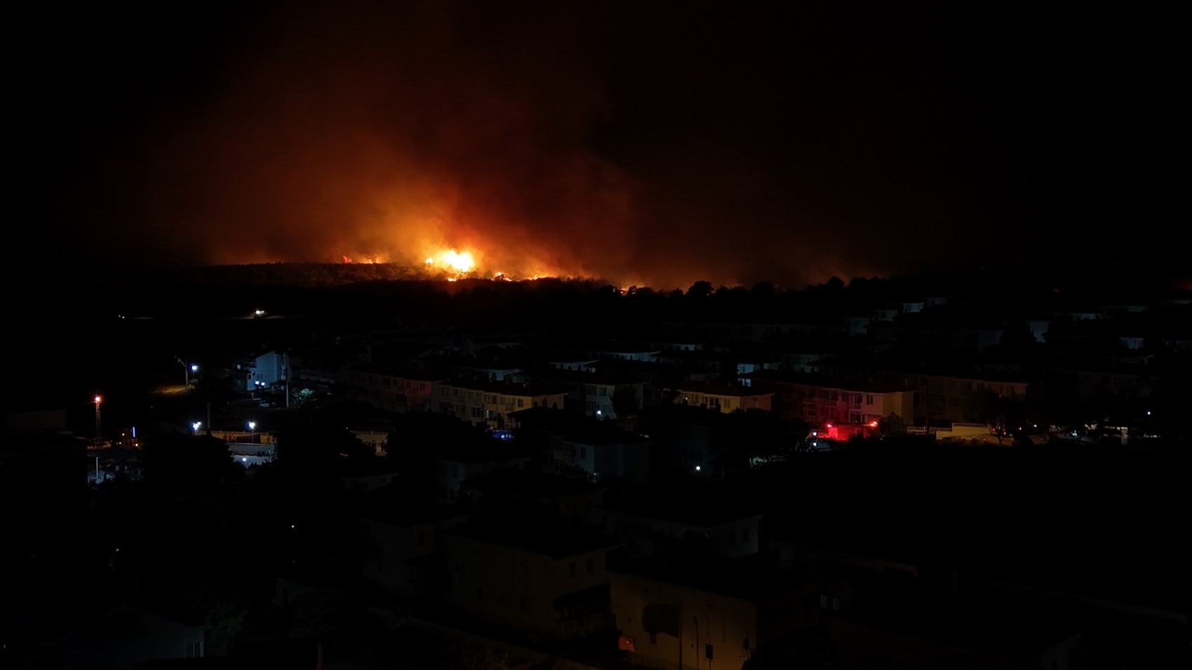 Edirne'deki orman yangınında alevler evlere yaklaştı