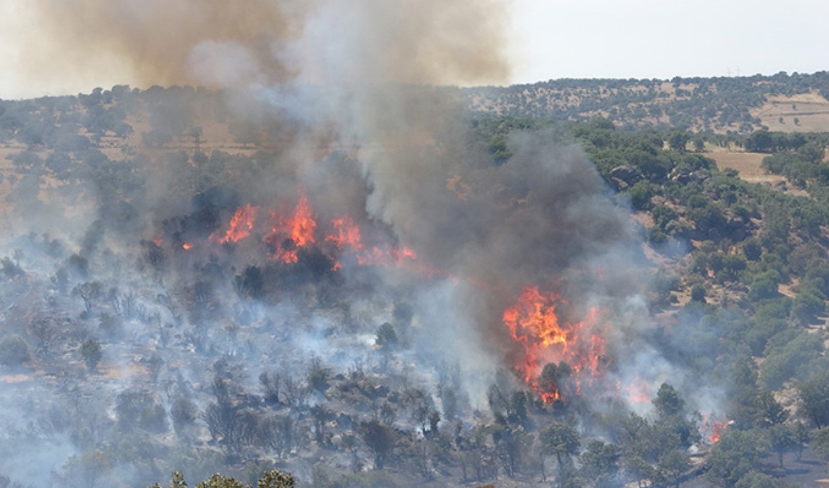 Çanakkale yangınları sonrası maden tartışması yeniden alevlendi