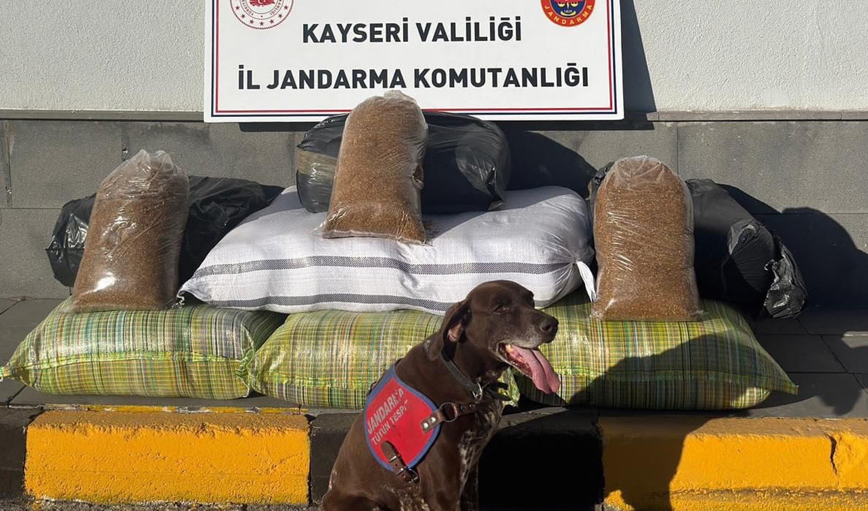 Kimlik kontrolü için durdurulan otobüsten 230 kilogram kaçak tütün çıktı