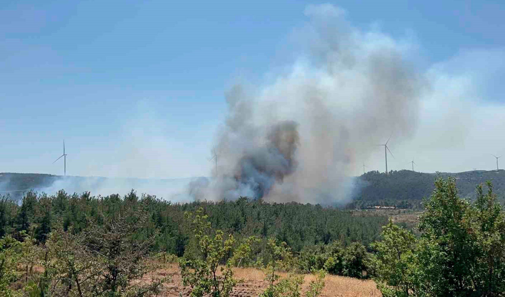 Çanakkale’de yine orman yangını