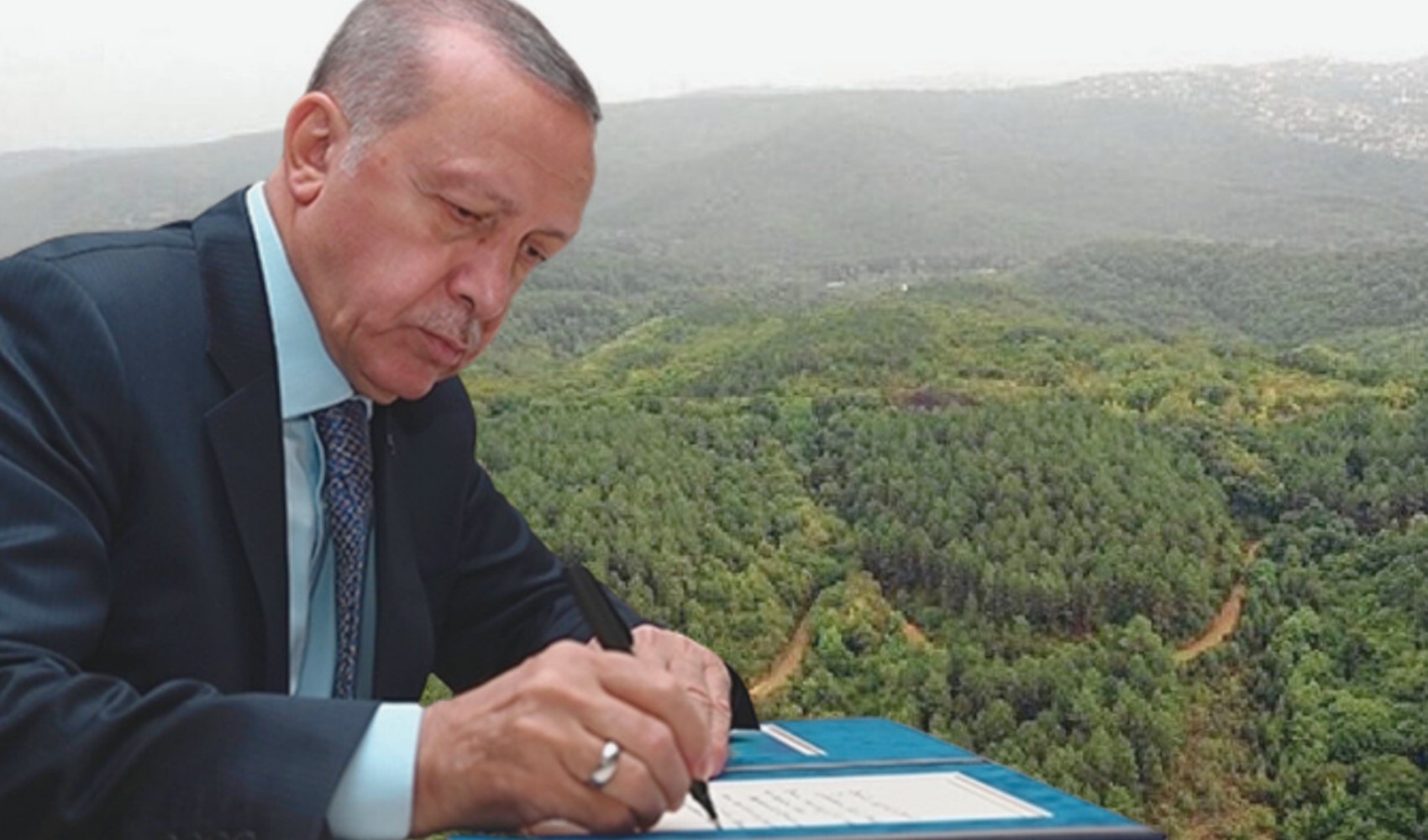 Erdoğan imzaladı: Ormanlık alanlar endüstri bölgesi ilan edildi
