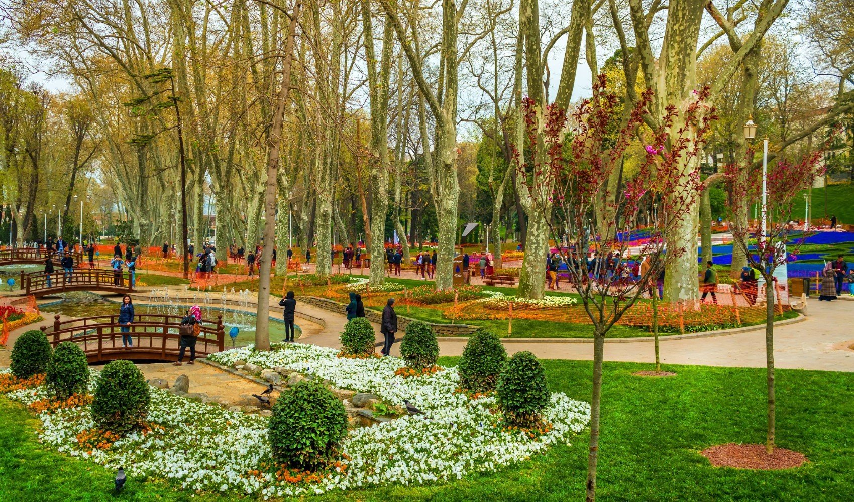 İstanbul'da kuvvetli poyraz etkili: Gülhane Parkı geçici olarak kapatıldı