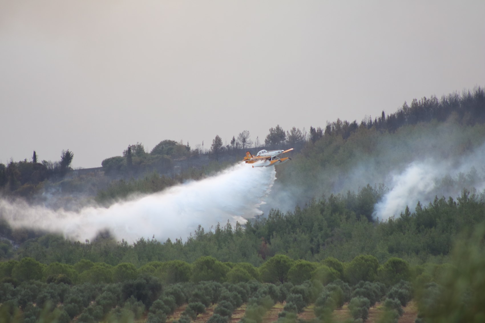 Çanakkale'deki orman yangını havadan görüntülendi: Valilikten yeni açıklama