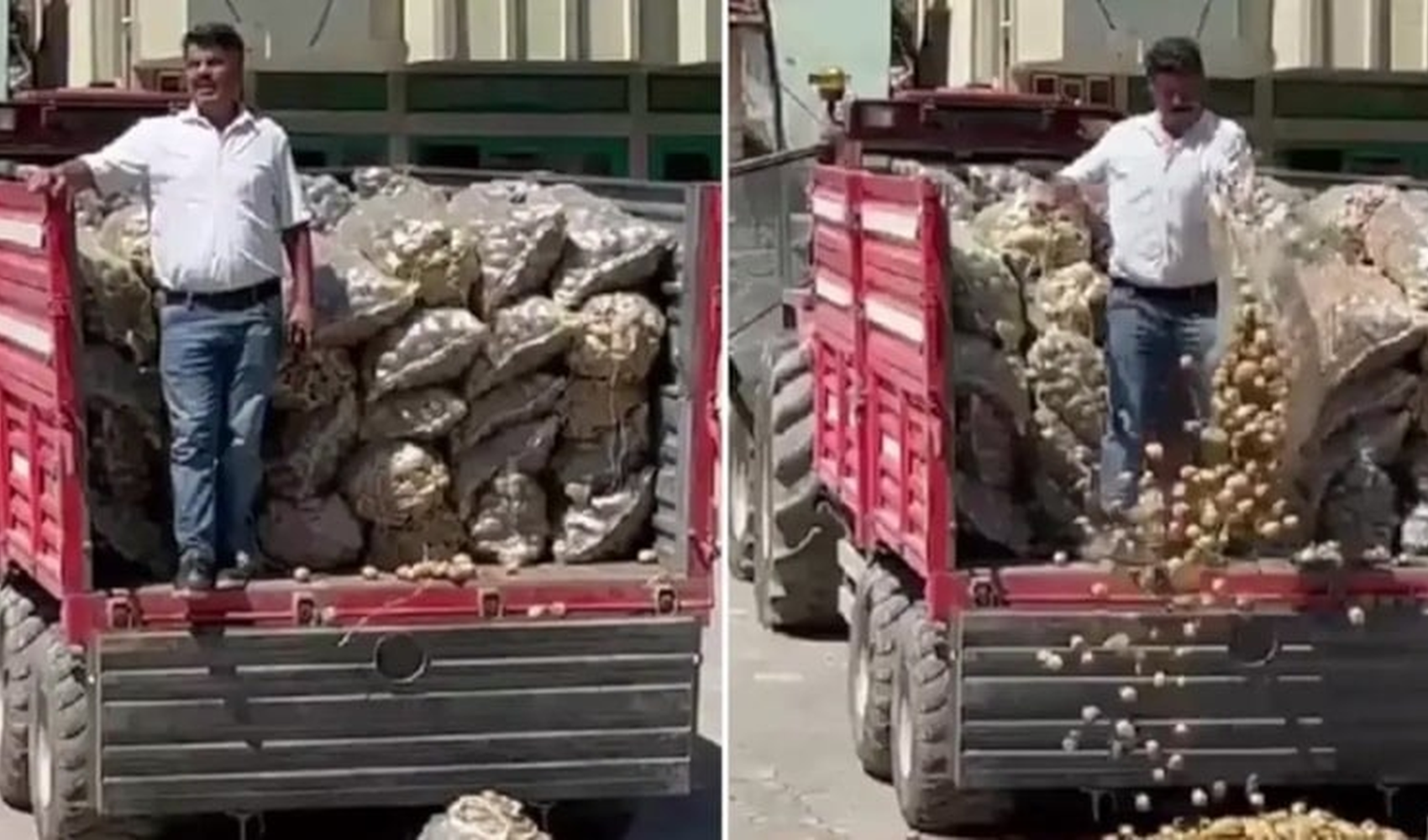 Bakanlıktan açıklama geldi: Patates dökme eylemi yapan CHP'li başkana rekor ceza yolda!