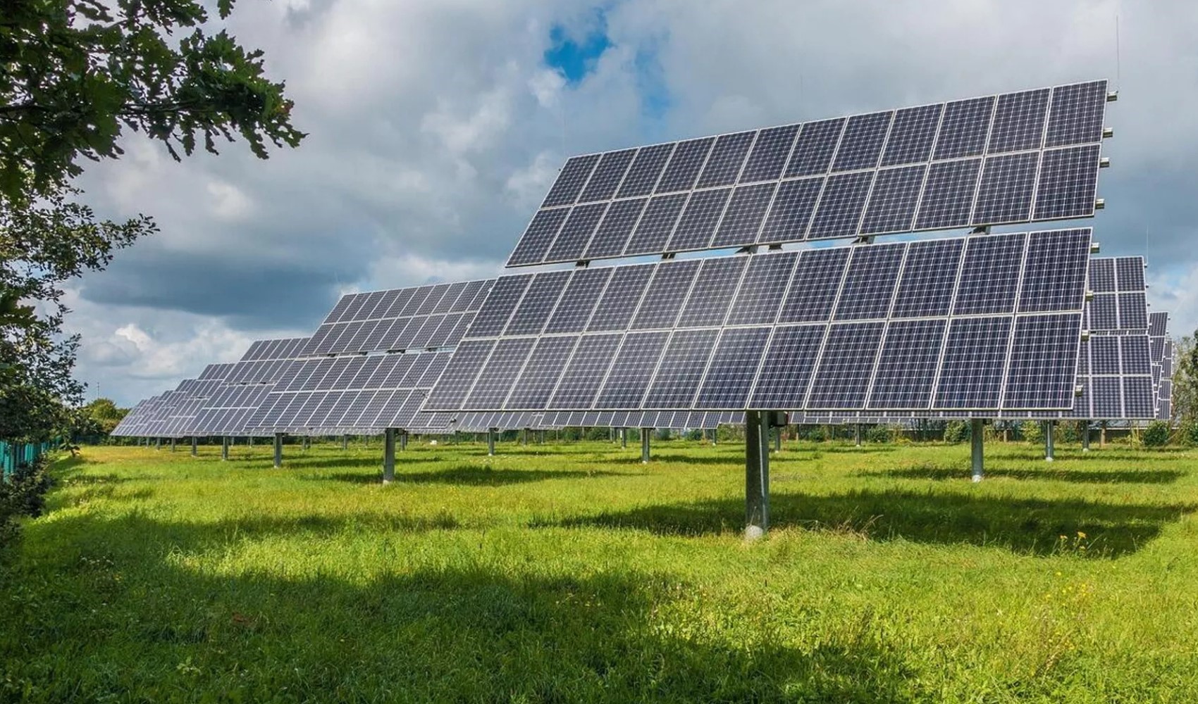 'Enerji Tarlası' vurgunu: Binlerce kişi dolandırıldı