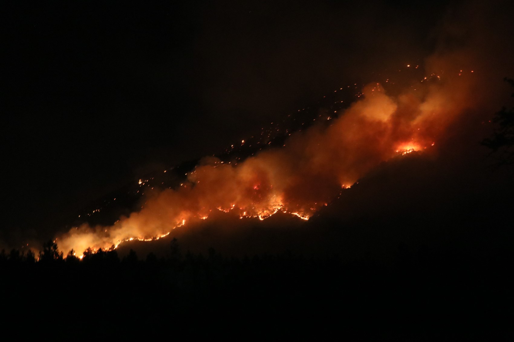 Denizli’de orman yangınına gece karadan müdahale sürüyor